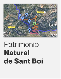 Patrimonio Natural de Sant Boi de Llobregat